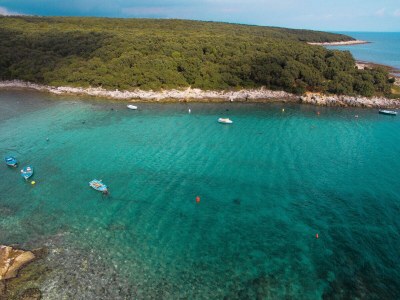 Villa Pietra with pool and jacuzzi near Pula - Environment photo 28