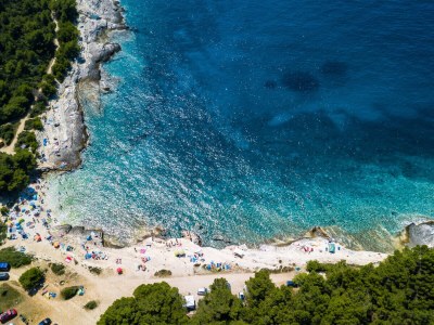 Villa Pietra with pool and jacuzzi near Pula - Environment photo 30