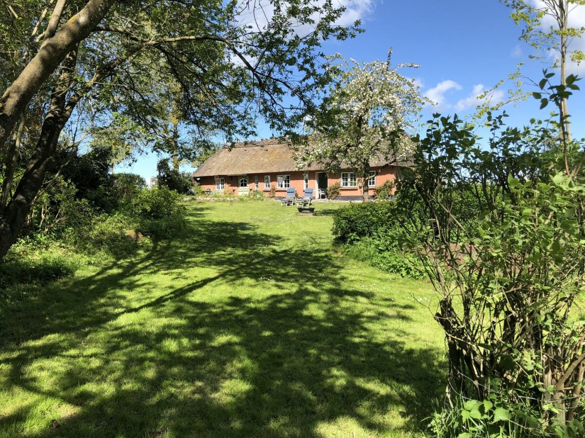 Holiday house Ferienhaus Kate am Barkenhof Dollrottfeld - Outdoor photo 4