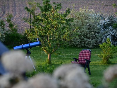 Holiday apartment "Landlust" - Outdoor photo 6