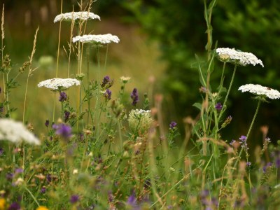 Holiday apartment "Landlust" - Outdoor photo 9