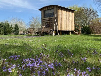 Holiday apartment "Landlust" - Outdoor photo 11