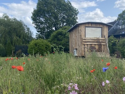 Holiday apartment "Landlust" - Outdoor photo 12