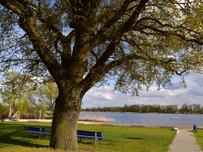 Holiday apartment "Landlust" - Environment photo 28