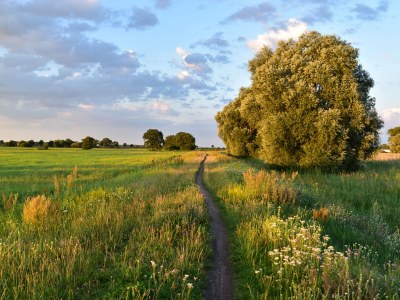 Holiday apartment "Landlust" - Environment photo 32
