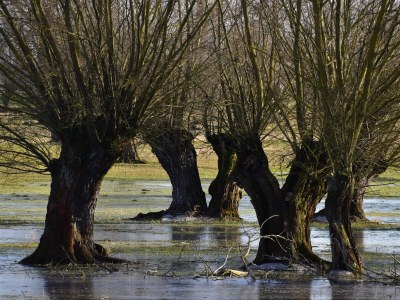 Holiday apartment "Landlust" - Environment photo 33