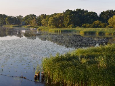 Holiday apartment "Landlust" - Environment photo 36