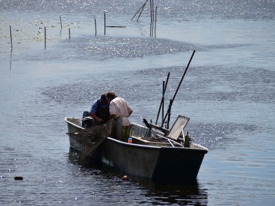 Holiday apartment "Landlust" - Environment photo 37