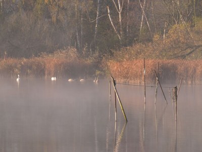 Holiday apartment "Landlust" - Environment photo 38