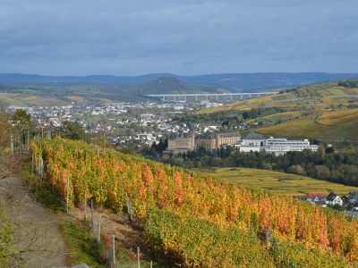 Holiday house Dr. Hart - Environment photo 25