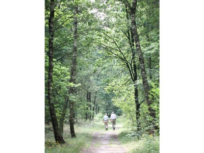 Holiday house Studio in the Hen House - Environment photo 19