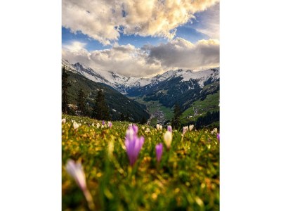 Holiday house Pichl - Environment photo 28