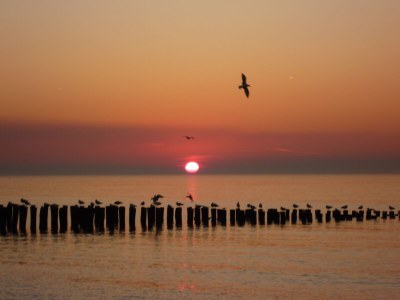 Apartment OK26 Apartment Oostkapelle - Environment photo 19