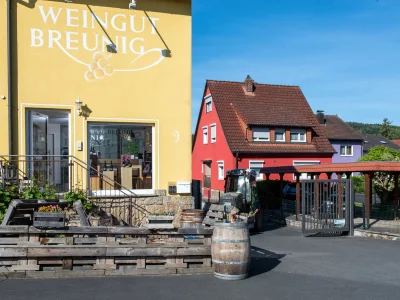 Holiday apartment Weingut Breunig - Ferien auf dem Winzerhof - Environment photo 13