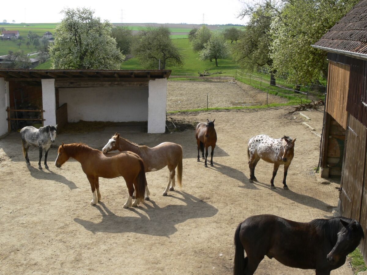 Holiday apartment cross - Outdoor photo 4