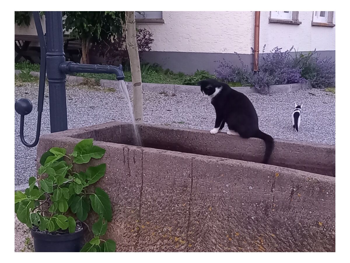 Holiday apartment cross - Outdoor photo 5