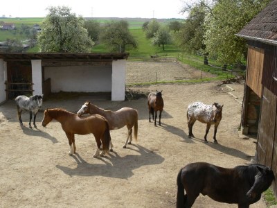 Holiday apartment cross - Outdoor photo 4