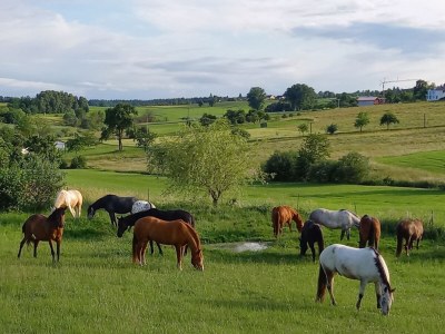 Holiday apartment cross - Outdoor photo 6