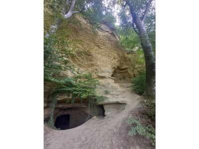 Holiday apartment cross - Environment photo 18