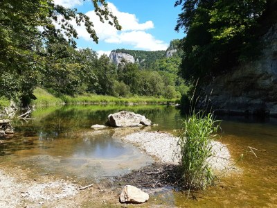 Holiday apartment cross - Environment photo 20