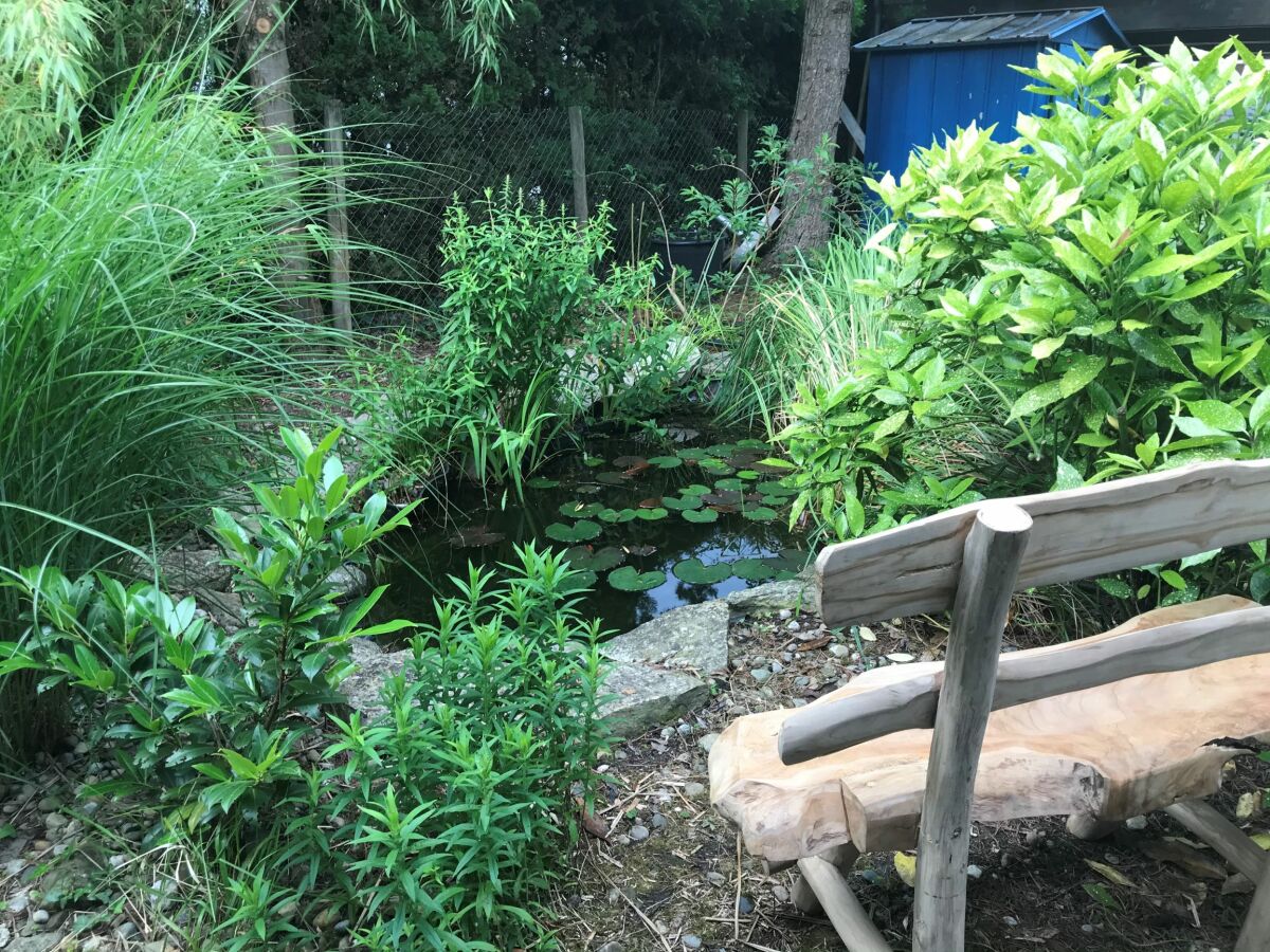 Holiday house Seenrose in Salem - Outdoor photo 4