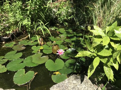 Holiday house Seenrose in Salem - Outdoor photo 6