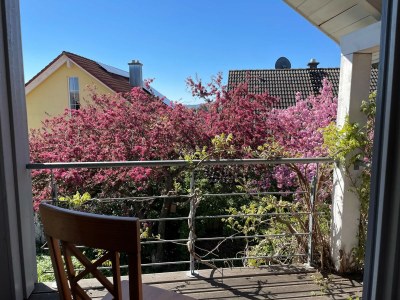 Holiday house Seenrose in Salem - Outdoor photo 7