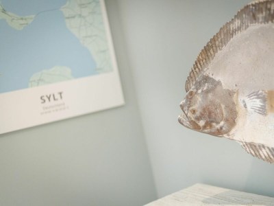 Holiday house Ferienhaus Watt'n Glück - Neu! - Outdoor photo 9