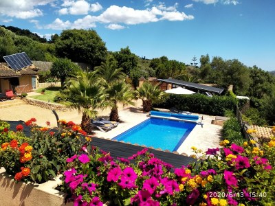 Apartment Apartment Naturist Finca Mallorca in Manacor - Apartment