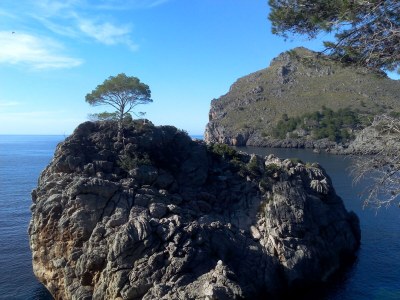 Apartment Apartment Naturist Finca Mallorca - Environment photo 19