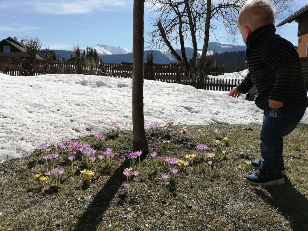 Holiday house Alpine Family Retreat in Bad Mitterndorf - Outdoor photo 3