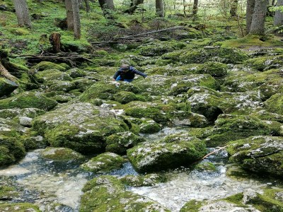 Holiday house Alpine Family Retreat in Bad Mitterndorf - Environment photo 39