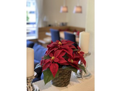 Holiday apartment House Panorama's Top 7 - Features photo 16