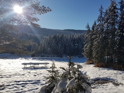 Holiday apartment House Panorama's Top 7 - Environment photo 34