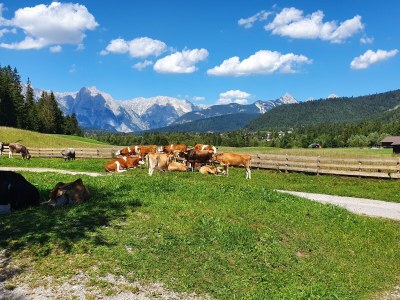 Holiday apartment House Panorama's Top 7 - Environment photo 39