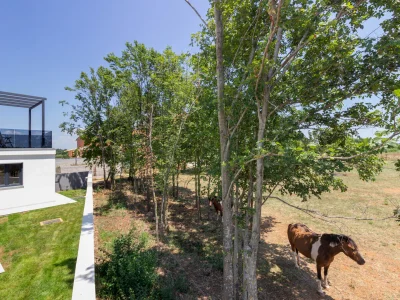 Villa Lukawith pool - Outdoor photo 11