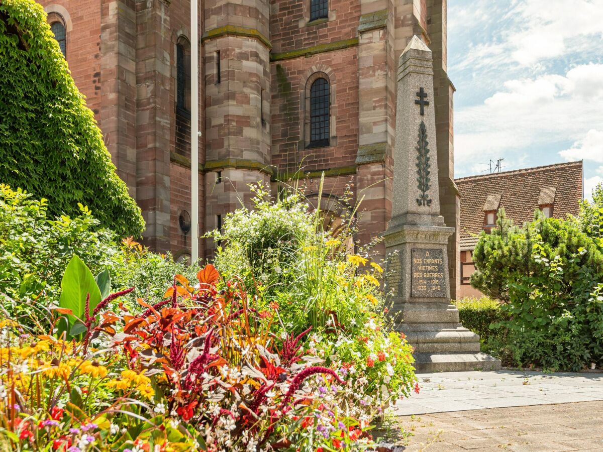 Apartment Apartment in Dambach near Vineyards - Outdoor photo 5