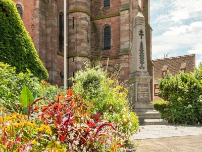 Apartment Apartment in Dambach near Vineyards - Outdoor photo 5