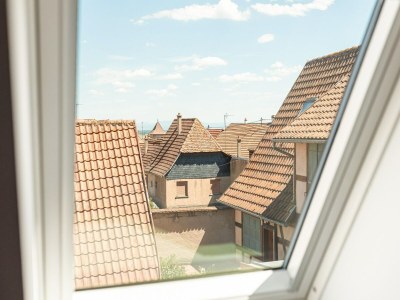 Apartment Apartment in Dambach near Vineyards - Outdoor photo 9