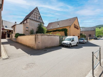 Apartment Apartment in Dambach near Vineyards - Environment photo 19