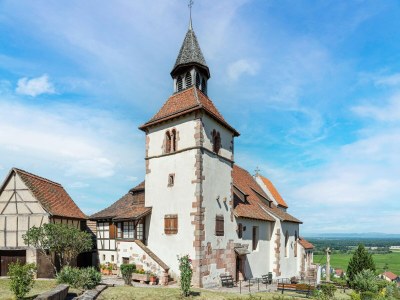 Apartment Apartment in Dambach near Vineyards - Environment photo 22