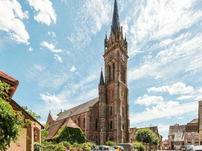 Apartment Apartment in Dambach near Vineyards - Environment photo 24