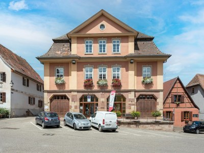 Apartment Apartment in Dambach near Vineyards - Environment photo 25