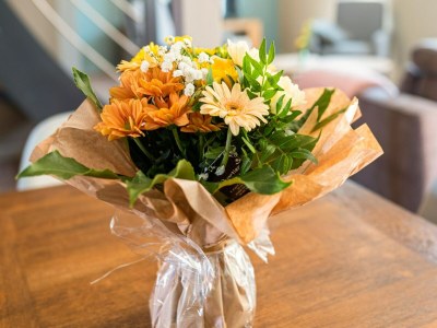 Apartment Apartment in Dambach near Vineyards - Outdoor photo 32