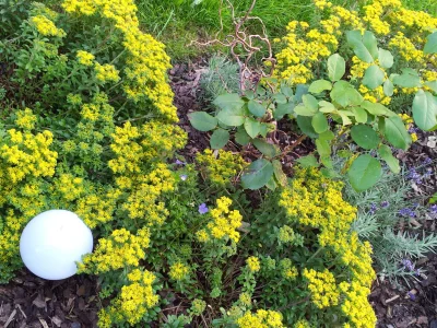 Holiday house Guest-house "Romantikhäusel" 1 - Outdoor photo 9