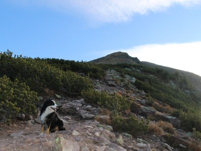 Holiday apartment Villa Völser - Environment photo 33