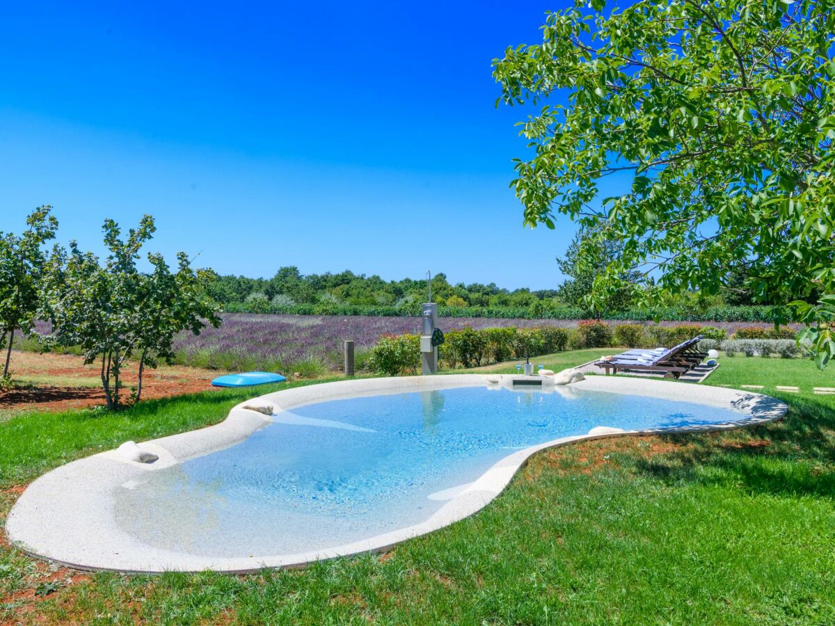 Holiday house Brajdine Lounge - Outdoor photo 3