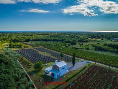 Holiday house Brajdine Lounge - Outdoor photo 7
