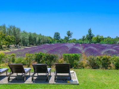 Holiday house Brajdine Lounge - Outdoor photo 18