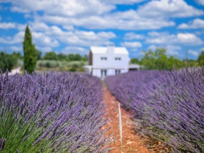 Holiday house Brajdine Lounge - Outdoor photo 19